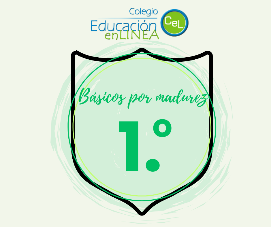 Primero Año Madurez - Matemáticas 